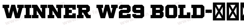 Winner W29 Bold字体转换